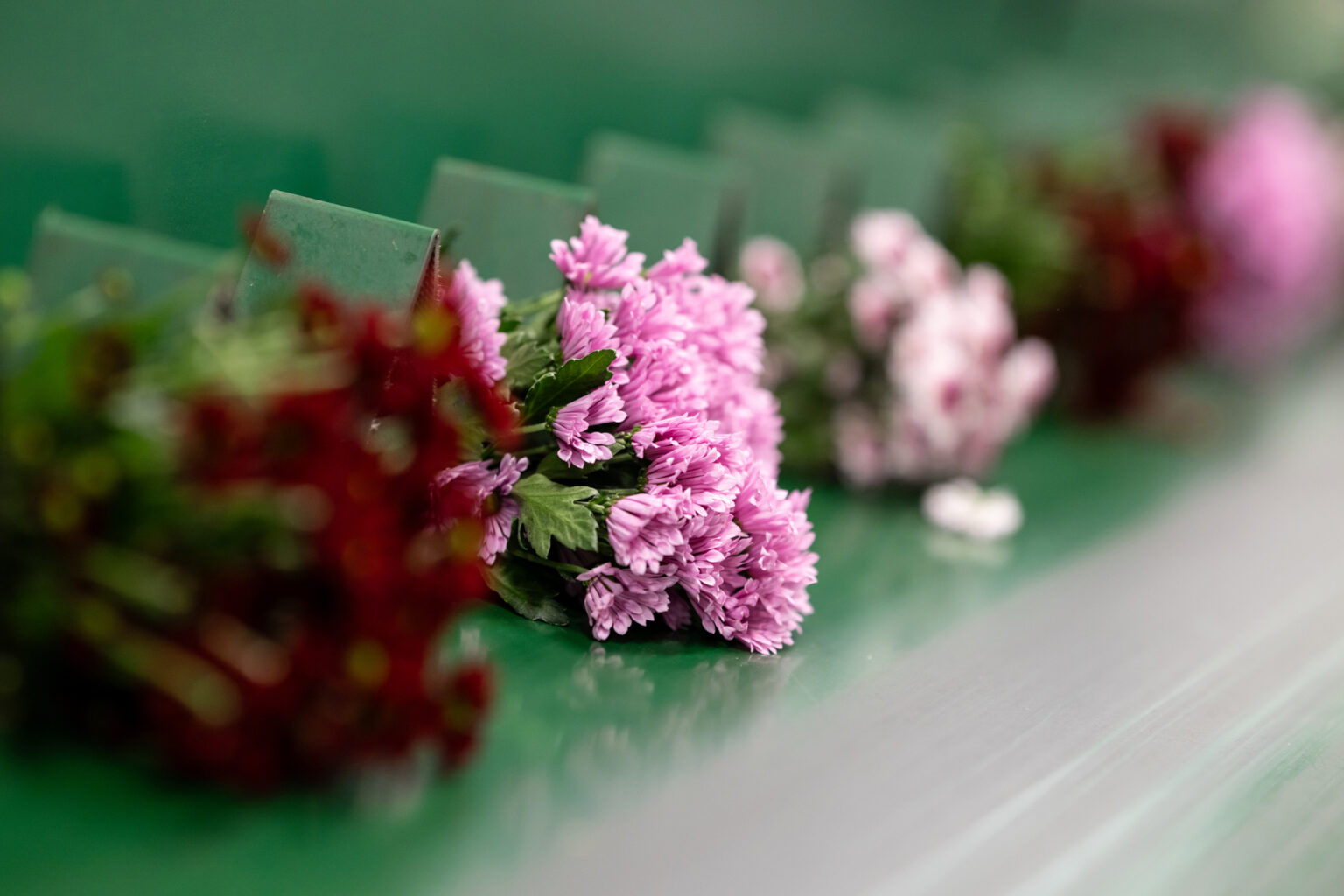 Fleurs fraîches sur le convoyeur de l’atelier de bouquetterie Europlantes