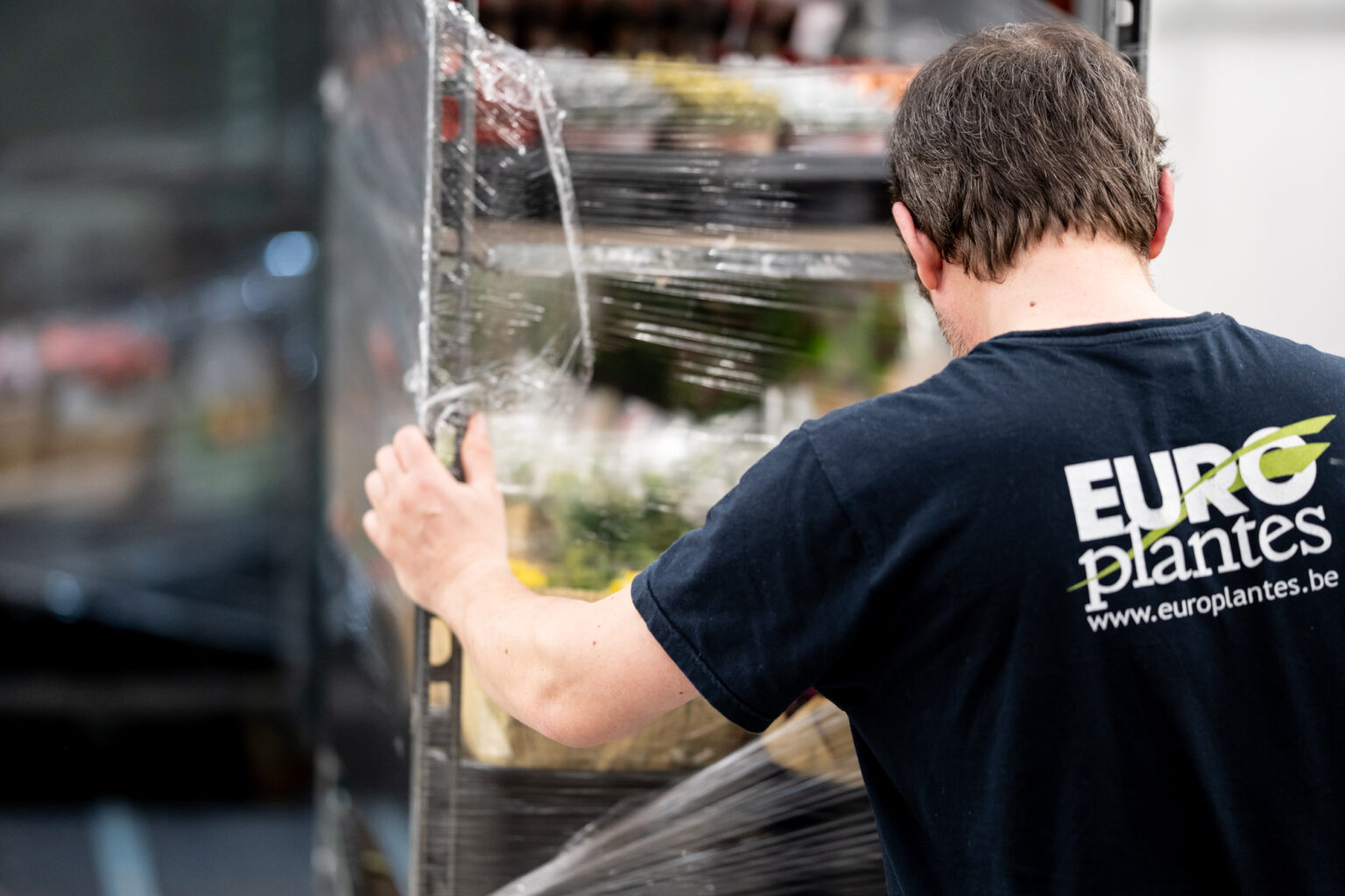 Employé Europlantes filmant un chariot de plantes avant expédition